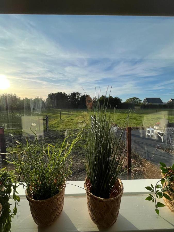 De Tulp Bed and Breakfast Noordgouwe Eksteriør billede