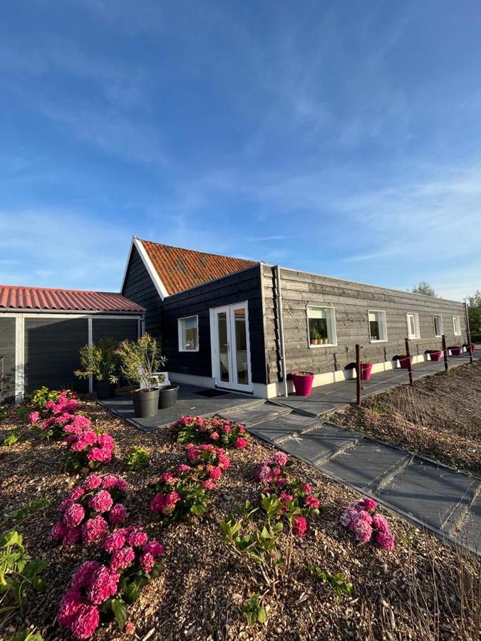 De Tulp Bed and Breakfast Noordgouwe Eksteriør billede