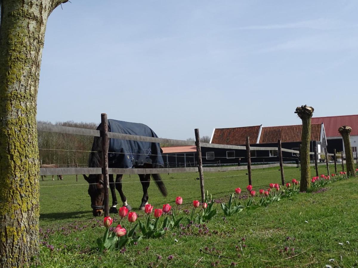 De Tulp Bed and Breakfast Noordgouwe Eksteriør billede