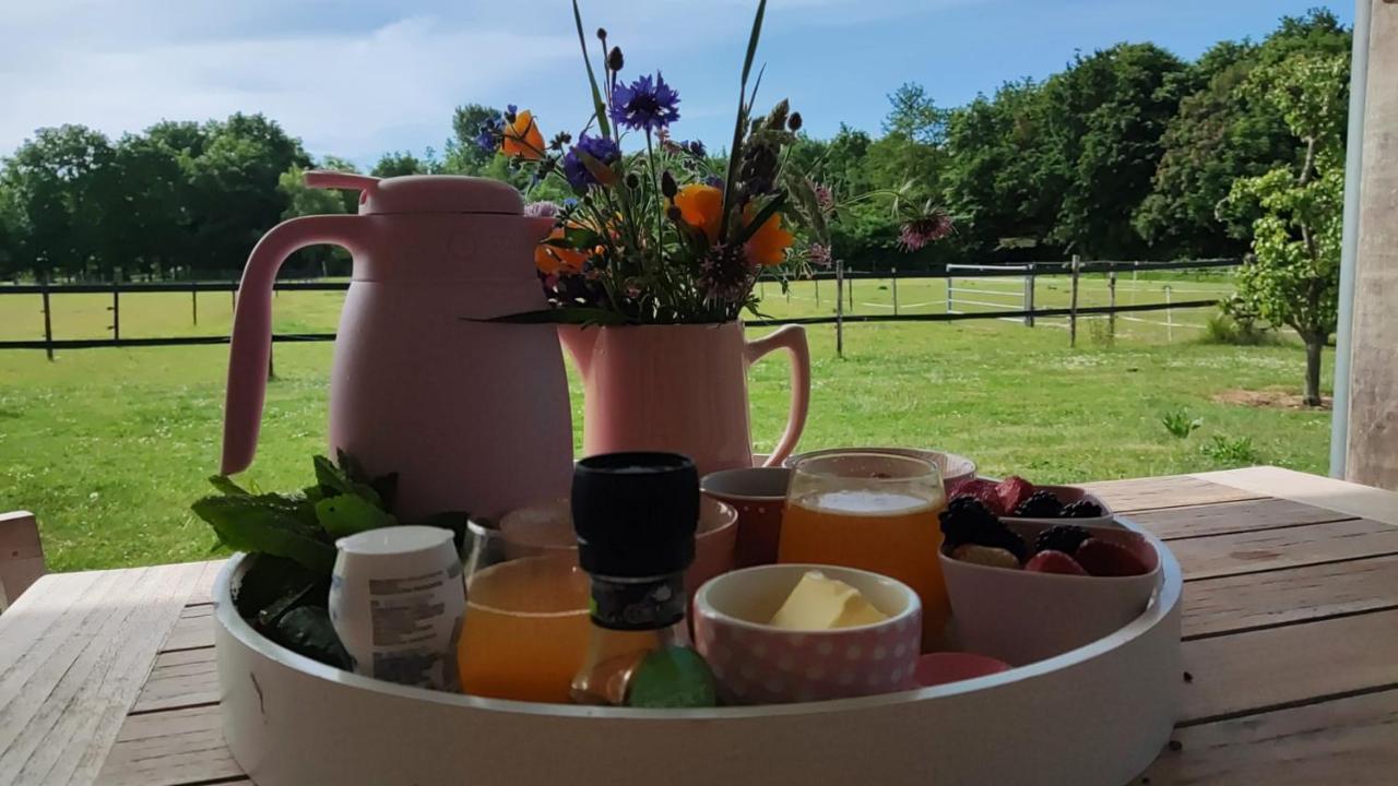 De Tulp Bed and Breakfast Noordgouwe Eksteriør billede