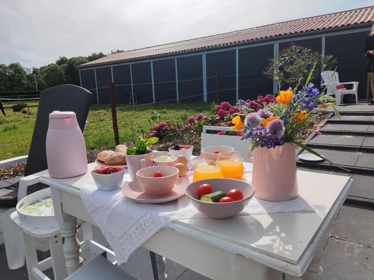 De Tulp Bed and Breakfast Noordgouwe Eksteriør billede
