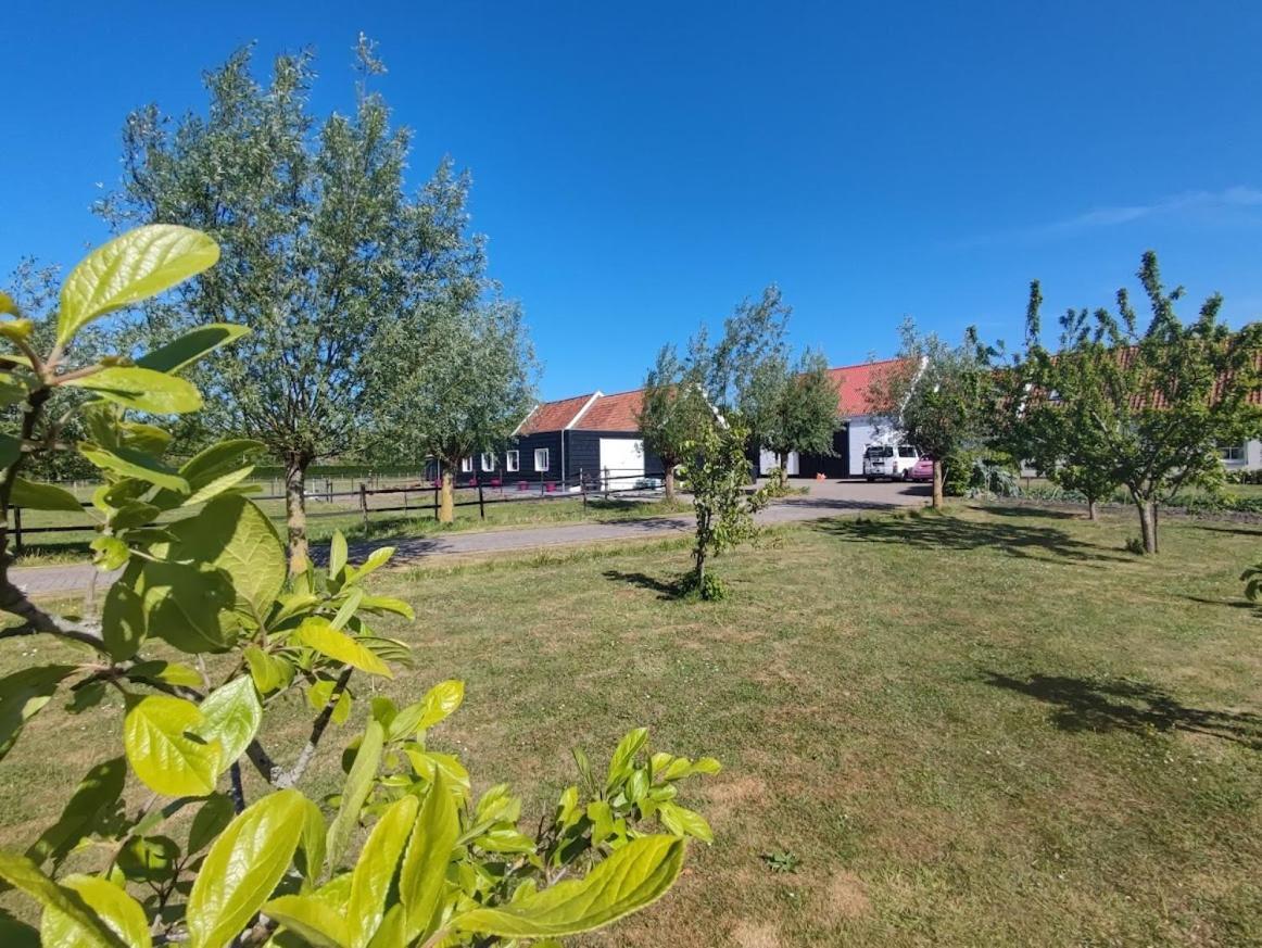De Tulp Bed and Breakfast Noordgouwe Eksteriør billede