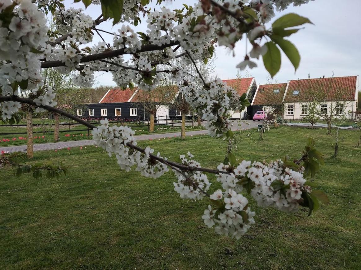 De Tulp Bed and Breakfast Noordgouwe Eksteriør billede